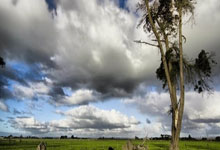 AC米兰球员聚焦欧冠赛场，豪言晋级半决赛，红黑军团重燃荣耀之火！