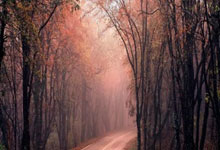 开云体育登录入口-阿贾克斯与马德里竞技巅峰对决：一场足坛盛宴即将开启