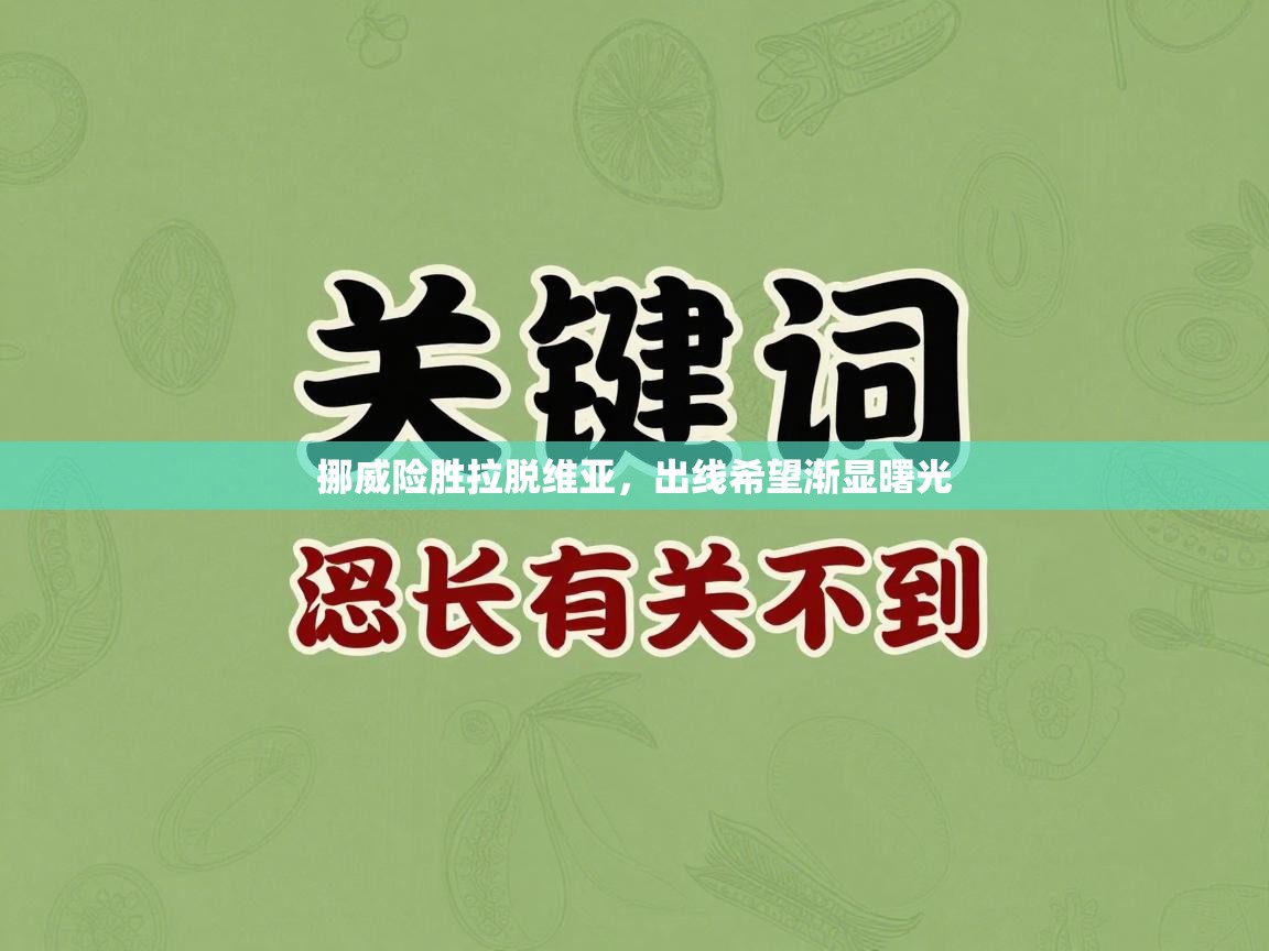 挪威险胜拉脱维亚，出线希望渐显曙光  第2张