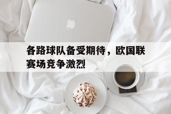 开云体育官网入口-各路球队备受期待，欧国联赛场竞争激烈的简单介绍
